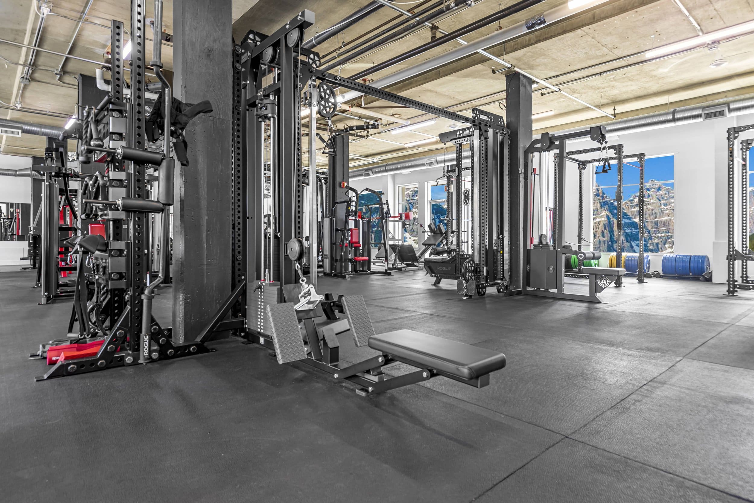 Low row machine and back training equipment at Athletic Evolution in Canmore