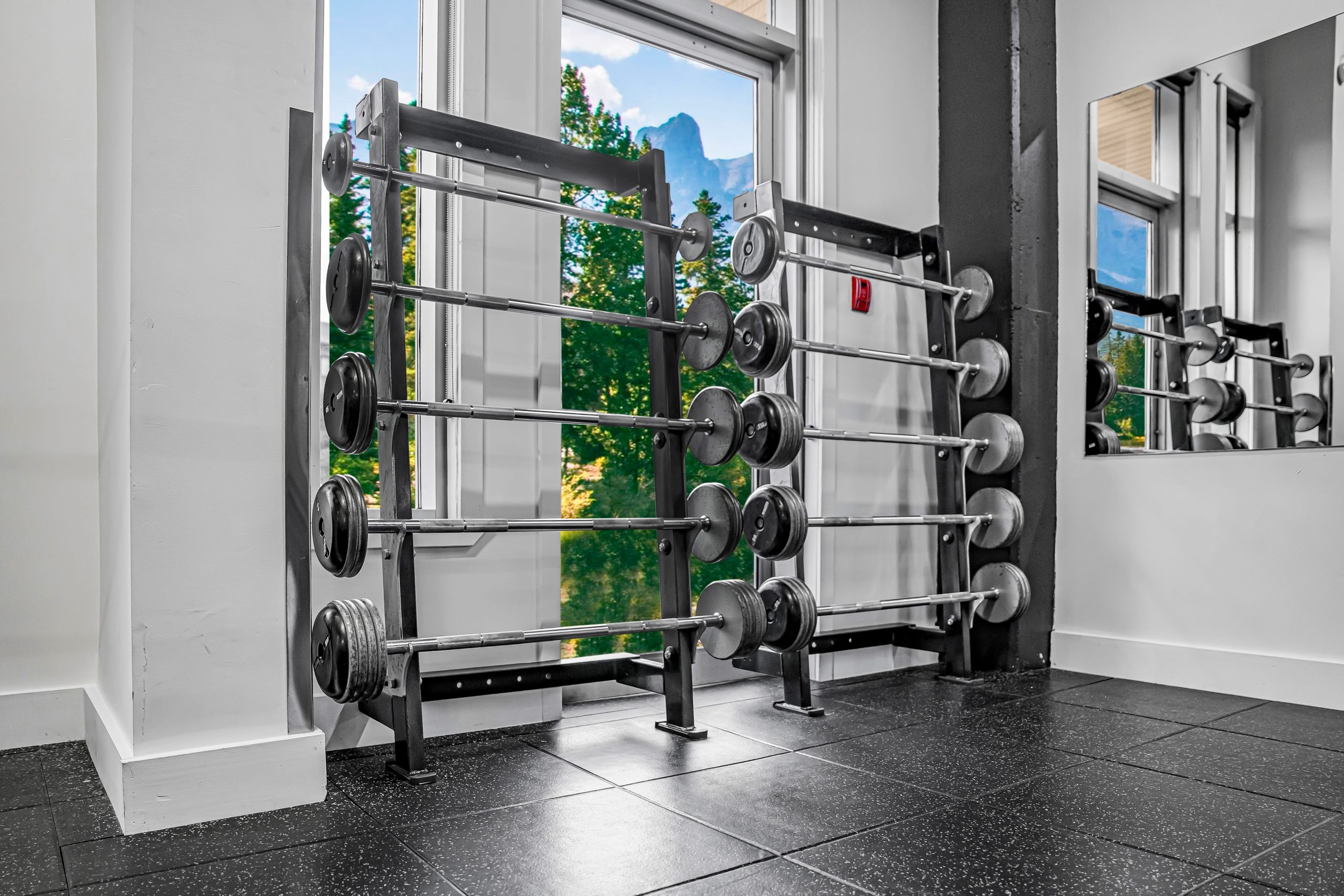 Vertical barbell rack from 20 to 110 pounds at Athletic Evolution