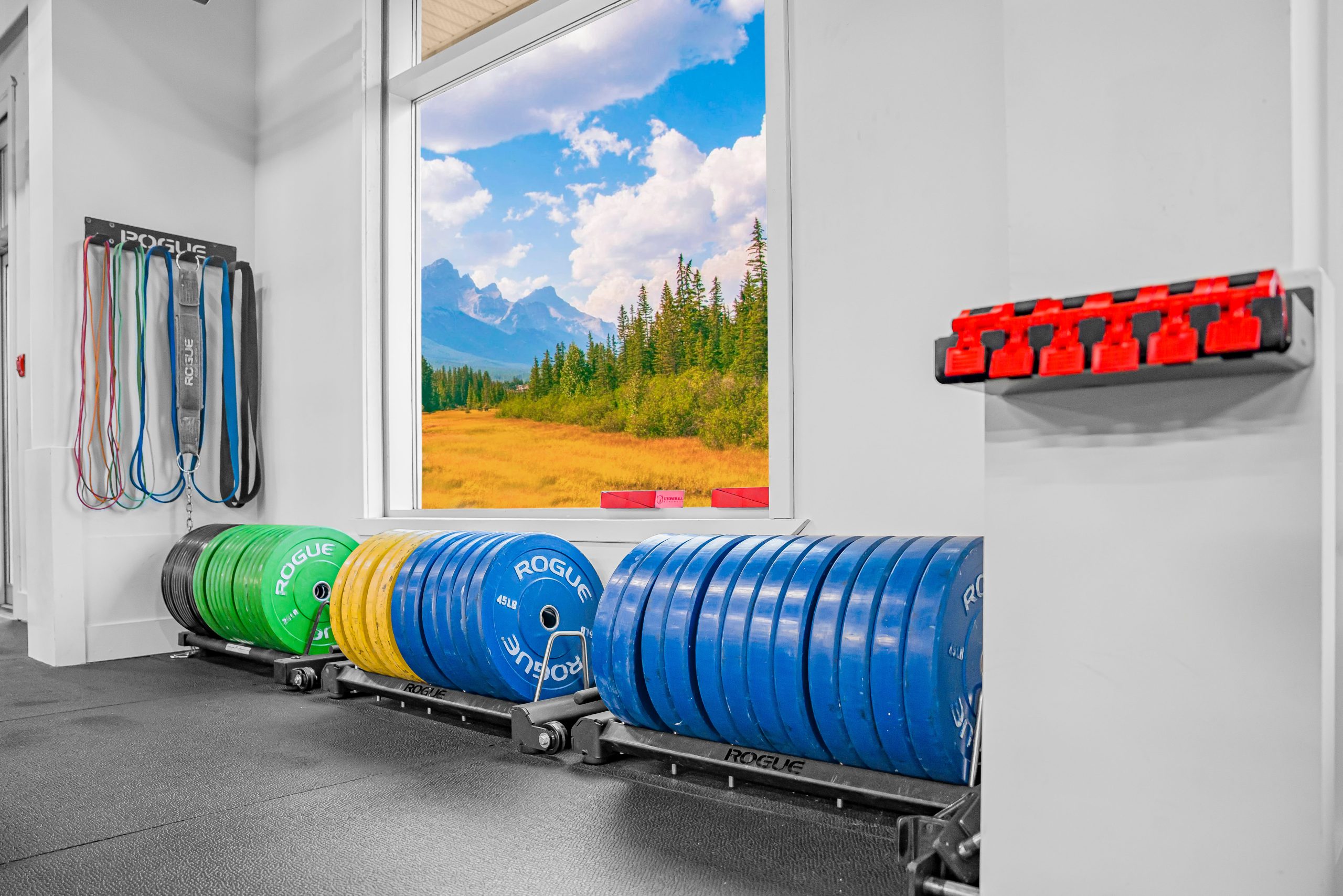 Urethane bumper plate tree at Athletic Evolution