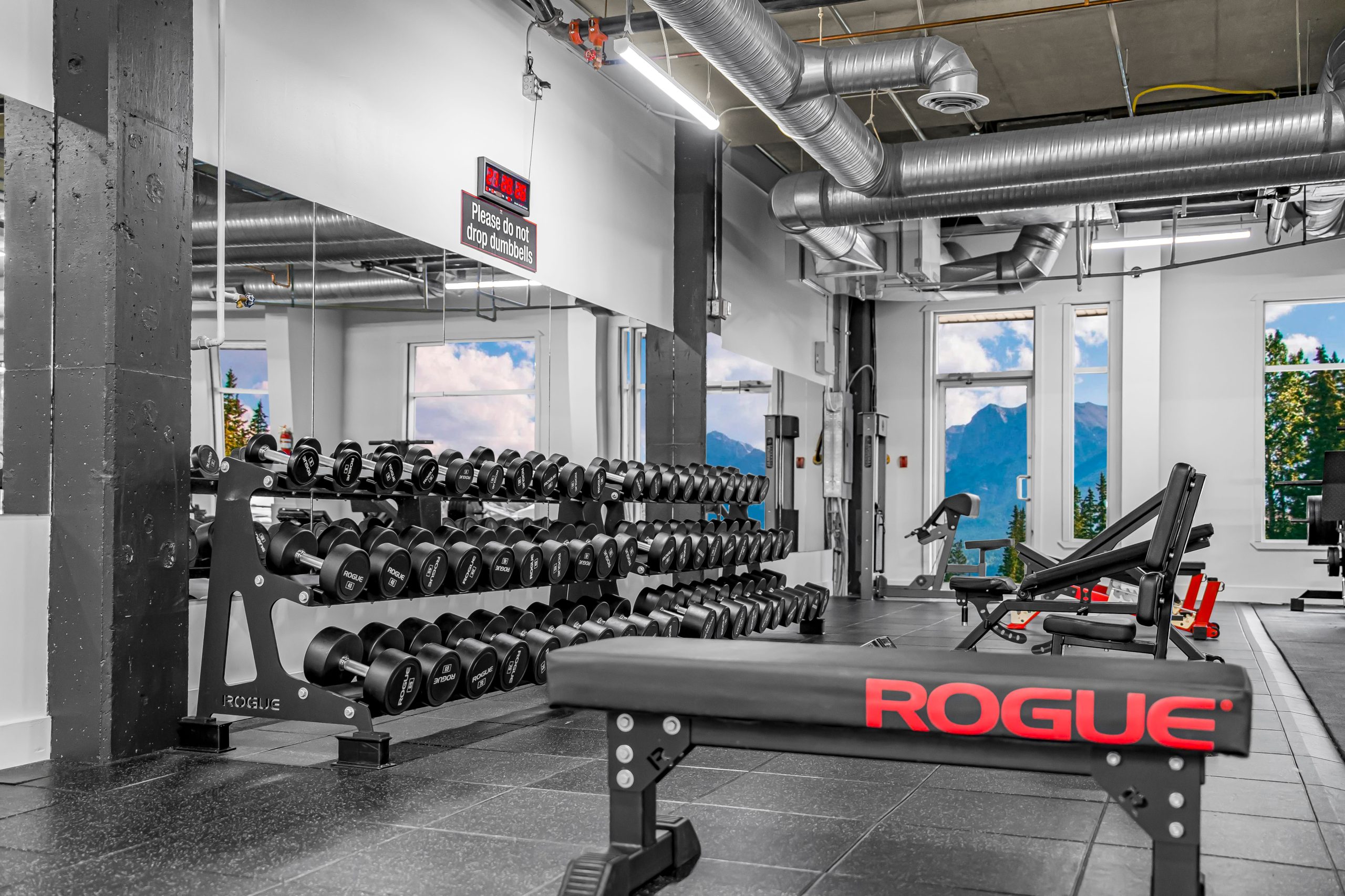 Chest and push zone with benches and plate-loaded presses at Athletic Evolution