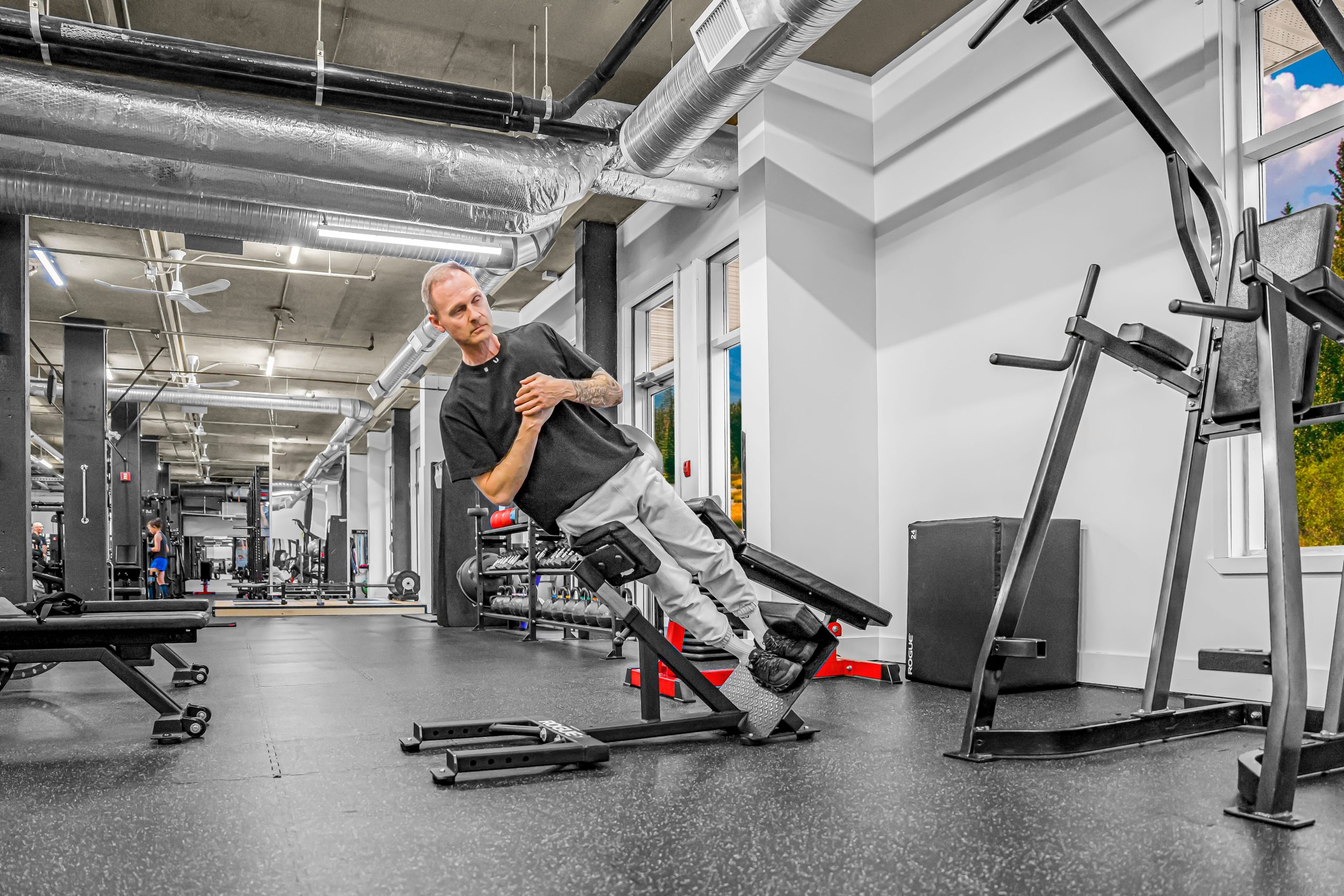 Rogue standing oblique flexor station at Athletic Evolution