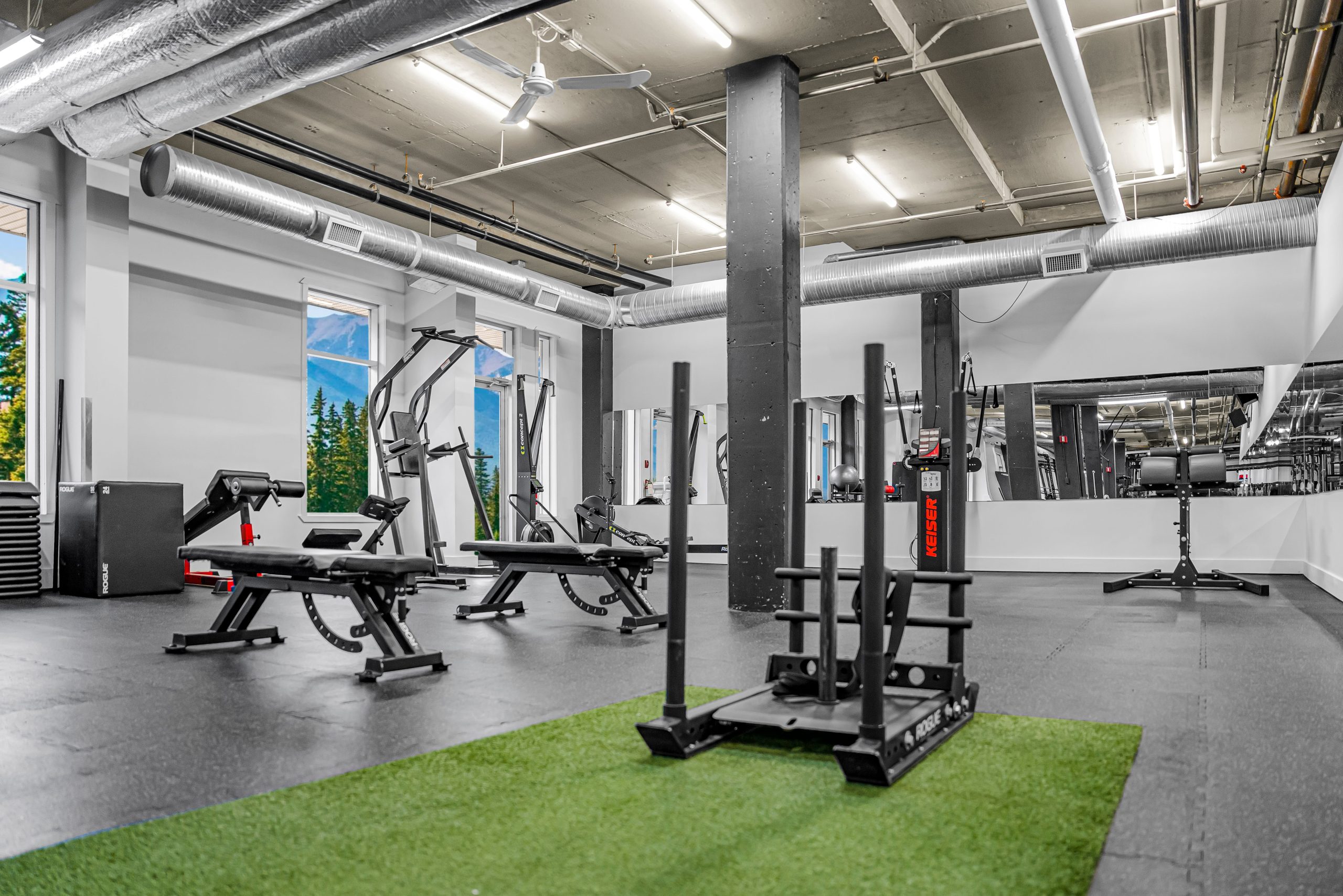 Flat row bench for chest-supported rows at Athletic Evolution