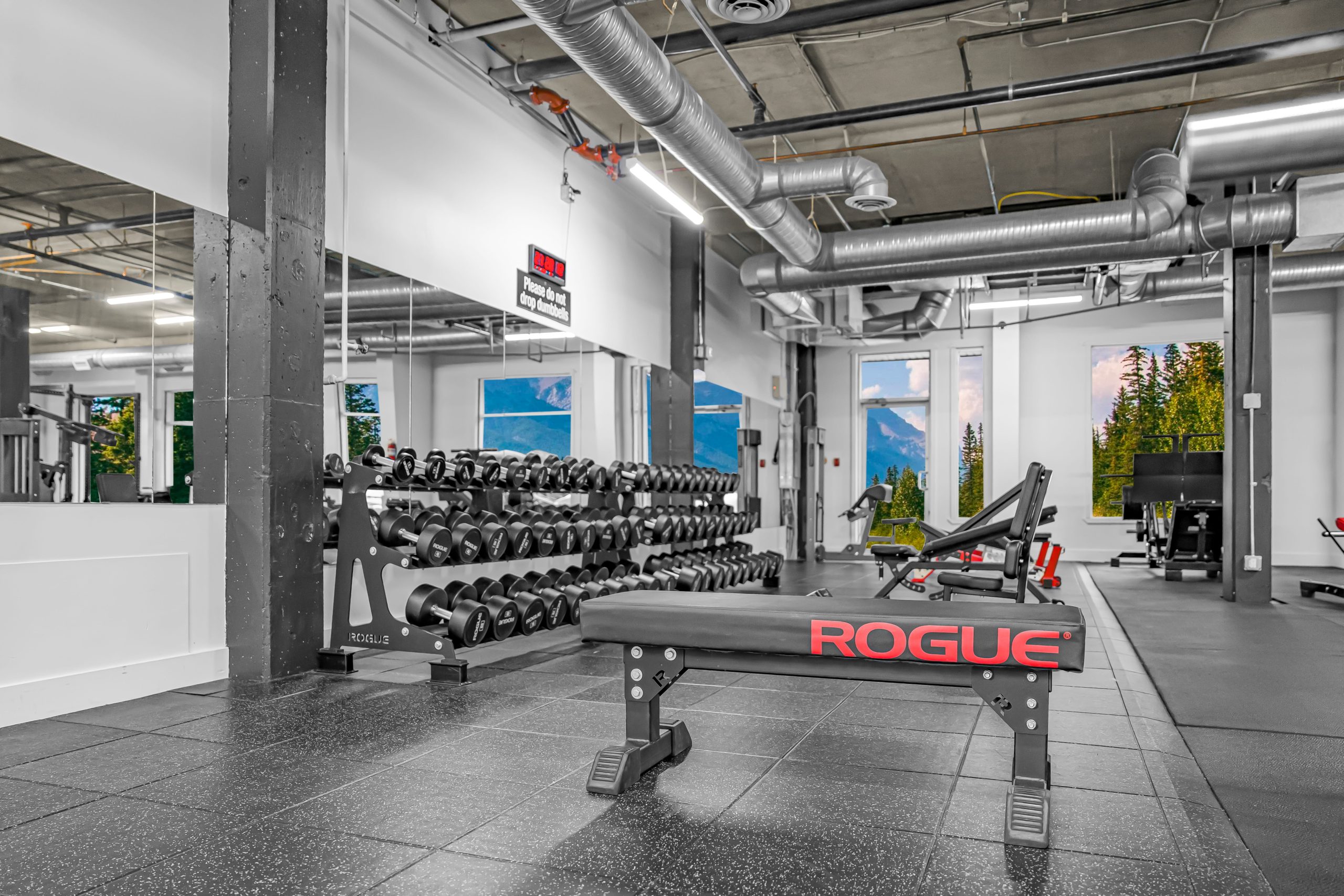 Shoulders and arms zone with dumbbell racks and cable towers at Athletic Evolution