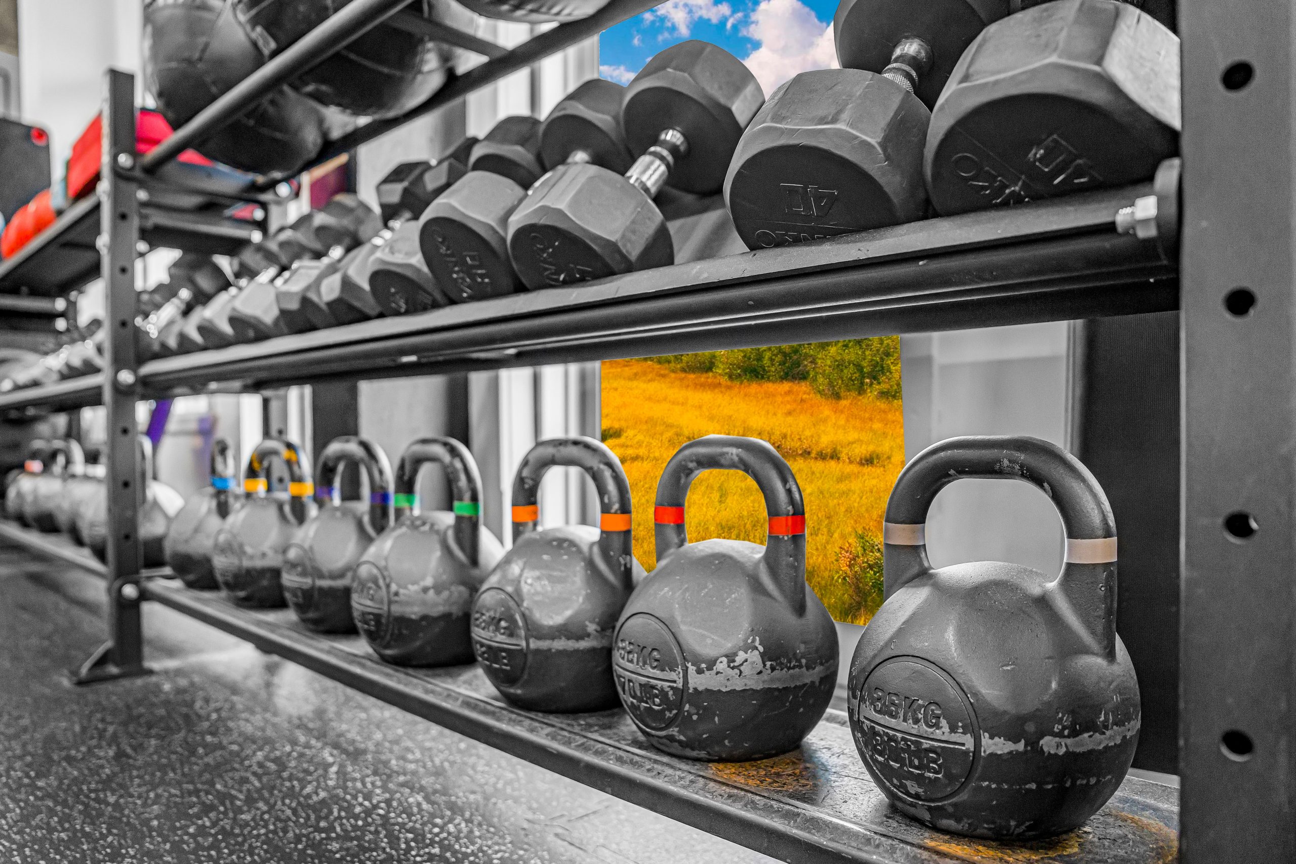 Slam ball rack from 10 to 50 pounds at Athletic Evolution